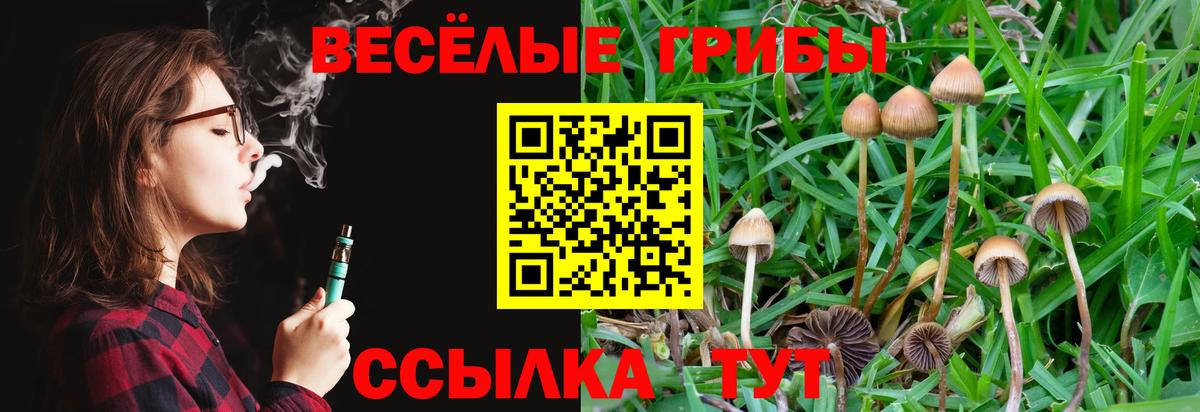 где продают наркотики  Галлюциногенные грибы прущие грибы  Вход с VPN  Ярцево 